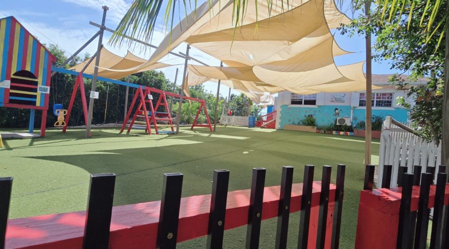 WhatsApp Image 2026-03-16 at 11.11.07 PM